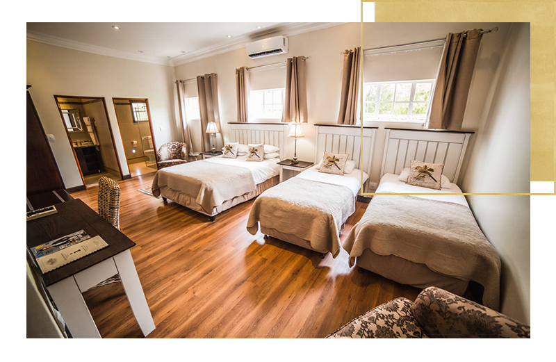 Family Room Introduction